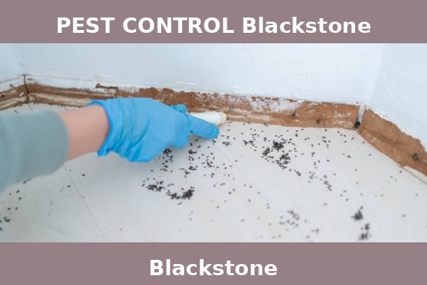 PEST CONTROL Blackstone